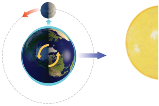 <strong>With the Sun and Moon in this position, the side of the Earth facing the Moon experiences </strong> A)a normal high tide. B)a normal low tide. C)a spring tide. D)a neap tide.