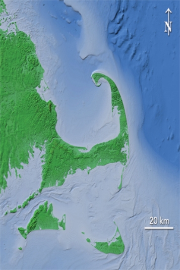 <strong>Which of the following features was not an important process contributing to the formation of Cape Cod into its present-day shape? </strong> A)north to south longshore current B)glacial deposition C)sea level increases D)All of these are important processes for Cape Cod's formation.