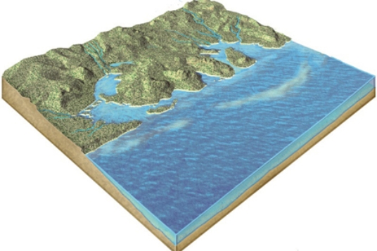 <strong>What geologic event is probably indicated by this irregular coast, with estuaries? </strong> A)a rise in sea level B)a drop in sea level C)erosion due to large tsunamis D)the uplift of submarine canyons