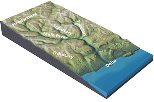<strong>What happens to a river as it flows through a delta and encounters the sea? </strong> A)The discharge and water velocity increase. B)The maximum sediment grain size carried by the river increases. C)The total sediment load carried by the river decreases. D)All of these.