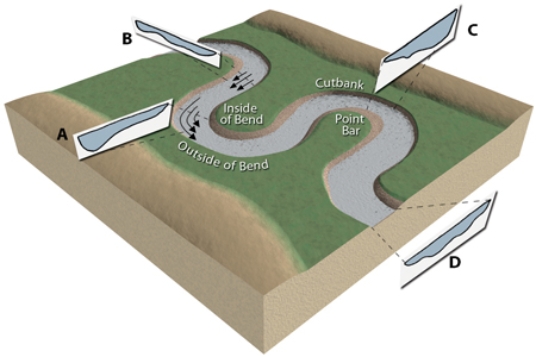 <strong>At which sites would this stream profile most likely be located? </strong> A)A and C B)B and D C)C and D D)D and A