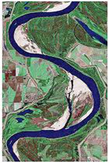 <strong>What type of stream is shown in this figure? </strong> A)braided stream B)a stream whose channel has a low sinuosity C)meandering stream D)a stream that lacks point bars E)All of these.