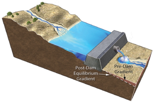 <strong>Construction of a dam results in </strong> A)an increase in the total amount of water flowing downstream of the dam. B)increased erosion by clear water released from the dam. C)the dam releasing water that contains more sediment than carried by the river before the dam was constructed. D)increased erosion where the stream channel meets the reservoir.