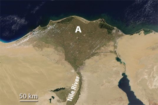 <strong>Feature A, formed where the Nile River encounters the Mediterranean Sea, is </strong> A)a landslide. B)a series of waterfalls. C)a delta. D)All of these.
