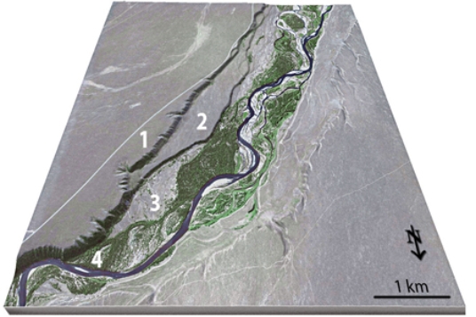 <strong>This figure shows four numbered river terraces, with 1 being the highest and 4 being the lowest.Which is the youngest terrace? </strong> A)1 B)2 C)3 D)4