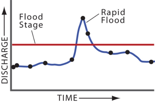 <strong>What can you conclude by comparing the left and right hydrographs, each of which depict the same amount of time? </strong> A)The left diagram has a higher peak discharge. B)The right diagram represents a quicker event, like a flash flood. C)Neither graph shows a true flood. D)None of these.