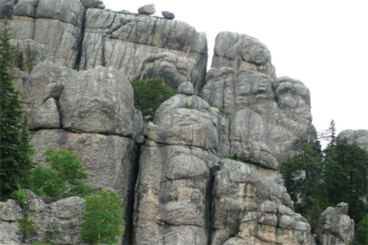 <strong>What is the dominant type of weathering shown in this photograph?  </strong> A)dissolution B)chemical weathering C)debris flow D)hydrolysis E)physical weathering <div style=padding-top: 35px> 