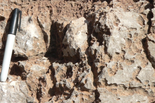 <strong>What is the main type of weathering illustrated by this weathered limestone?  </strong> A)physical weathering B)dissolution C)oxidation D)exfoliation <div style=padding-top: 35px> 