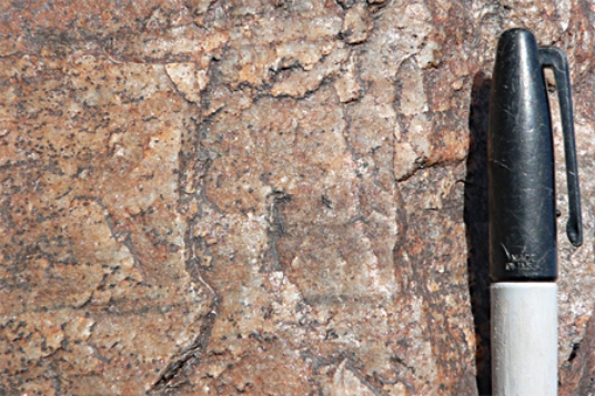 The layer of quartzite in this photograph would mostly weather by