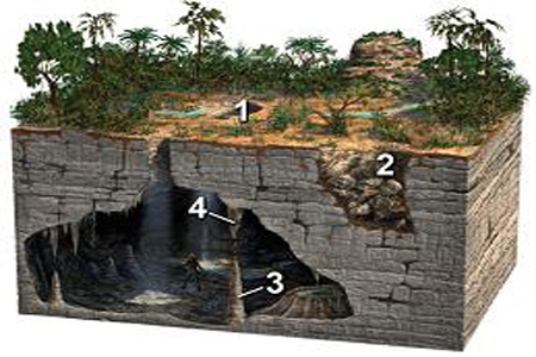 <strong>Which of these four numbered features on the surface or in a cave can be formed by the dissolution or collapse of limestone?  </strong> A)1 and 2 B)2 and 3 C)3 and 4 D)1 and 3 E)1 and 4 <div style=padding-top: 35px> 