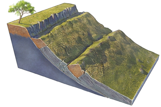 <strong>What type of slope failure is shown in this figure?  </strong> A)rotational slide B)creep C)rock avalanche D)debris flow E)rock fall <div style=padding-top: 35px> 