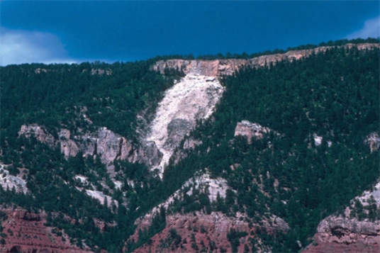 <strong>Which of the following might indicate that slopes adjacent to this landslide might fail?  </strong> A)they have the same steepness as the slope that failed B)they appear to have a similar geology setting C)one part of the slope has already failed D)All of these. <div style=padding-top: 35px> 