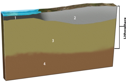 <strong>Which of the layers in the diagram below are solid or mostly solid? </strong> A)1 and 2 B)2 and 3 C)1, 2, and 3 D)All of them.