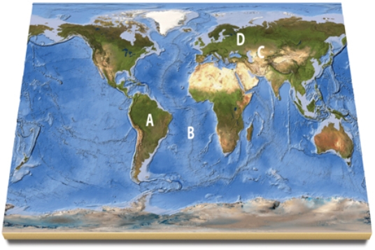 <strong>Which area(s)on this world map is likely to have volcanoes above sea level? </strong> A)A B)B C)C D)D