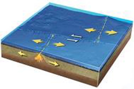 <strong>What type of plate boundary is depicted by the smaller arrows in the center of this figure? </strong> A)divergent boundary B)convergent boundary C)transform boundary D)hot spot E)None of these.
