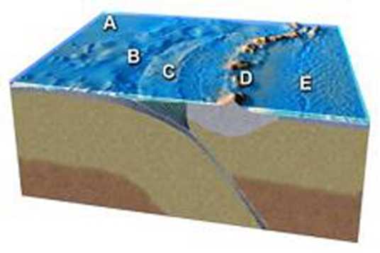 <strong>Which feature on this figure is formed by melting of mantle above the slab? </strong> A)A B)B C)C D)D E)E