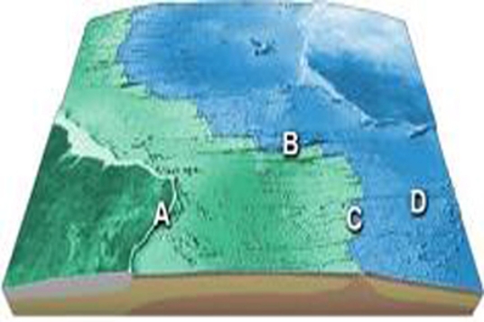 <strong>On the accompanying figure, what type of feature is located in the area of number 4? </strong> A)transform fault B)mid-ocean ridge C)linear island chain D)fracture zone