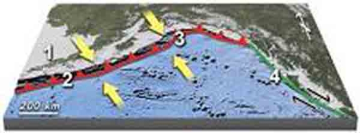 <strong>This figure shows plate boundaries south of Alaska.Which location is along a convergent boundary? </strong> A)1 B)2 C)3 D)4 E)2 and 3