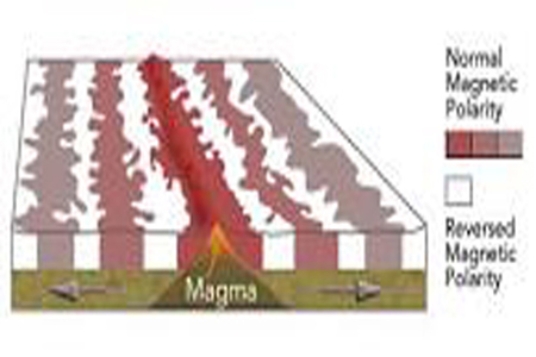 <strong>This diagram shows magnetic stripes on either side of the mid-ocean ridge.How many times did the magnetic field change polarity to form all of the stripes shown here? </strong> A)twice B)three times C)five times D)eleven times