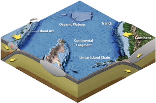 In the figure below, a tectonic terrane is shown at  