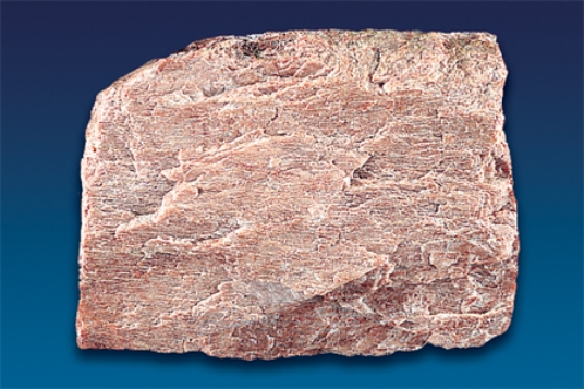 <strong>The very common mineral shown in this photograph is commonly a pink- to cream-colored mineral with wavy, light-colored lines.What mineral is it? </strong> A)garnet B)quartz C)biotite D)muscovite E)feldspar