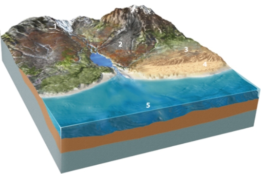 <strong>Which of the following locations would contain mud and the remains of small creatures? </strong> A)location 1, along the margins of a glacier B)location 2, along a steep mountain front C)location 3, in sand dunes D)location 4, along a beach E)location 5, on relatively deep seafloor