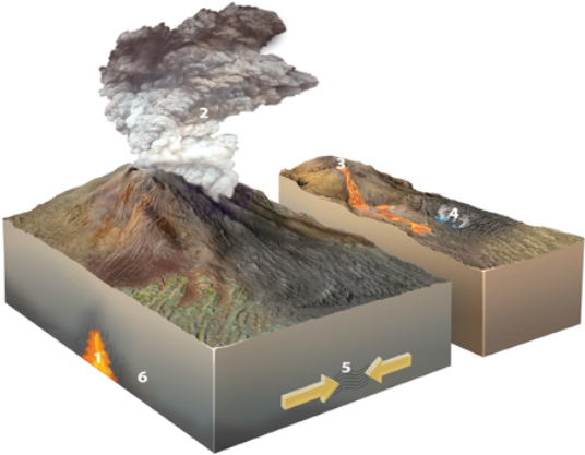 <strong>Which of the following locations would form an igneous rock? </strong> A)locations 1 and 2 B)locations 2 and 3 C)locations 3 and 4 D)locations 1, 2, and 3 E)locations 5 and 6