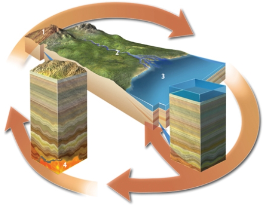 <strong>Which of the following settings would result in the formation of igneous rocks? </strong> A)location 1 B)location 2 C)location 3 D)location 4