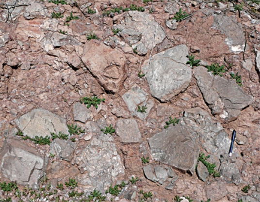 <strong>The type of rock shown in this photograph is </strong> A)conglomerate. B)breccia. C)sandstone. D)shale.