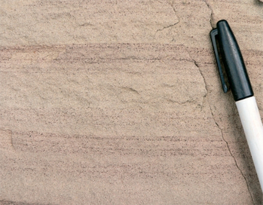<strong>The type of rock shown in this photograph is </strong> A)conglomerate. B)breccia. C)sandstone. D)shale.