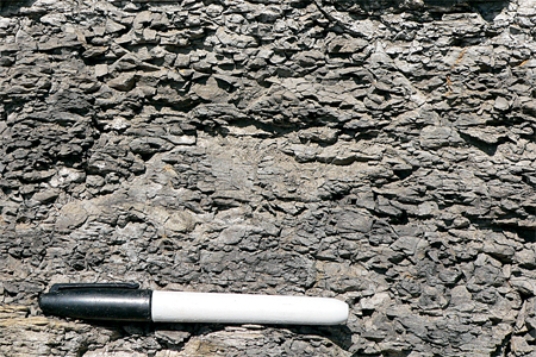 <strong>The type of rock shown in this photograph is </strong> A)conglomerate. B)breccia. C)sandstone. D)shale.