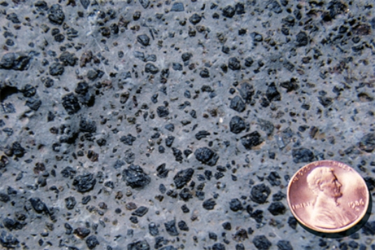 <strong>What texture is displayed by the igneous rock in this photograph? </strong> A)vesicles B)breccia C)porphyritic D)glassy E)None of these.