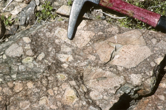 <strong>What texture is displayed by the igneous rock in this photograph? </strong> A)vesicles B)breccia C)porphyritic D)glassy E)None of these.