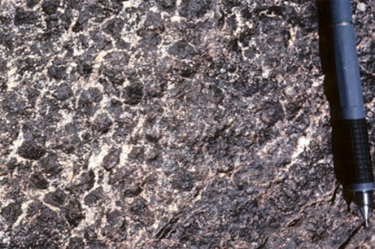 <strong>Which of the following rock photographs depicts a felsic igneous rock?</strong> A) B) C) D)