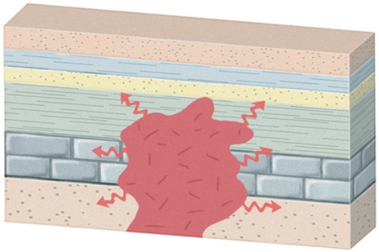 <strong>The type of metamorphism that would occur in this setting is </strong> A)regional metamorphism. B)contact metamorphism. C)subduction. D)thrust faulting.