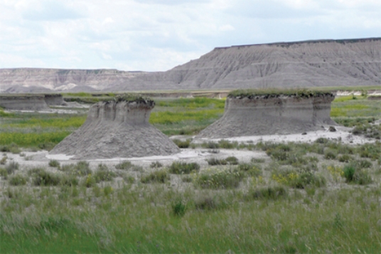 These pillars are remnants of layers, most of which have been stripped away by wind erosion.If this occurred in less than five years you might reasonably conclude that