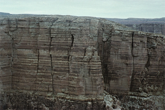 The oldest rocks in the column of limestone shown in the diagram are