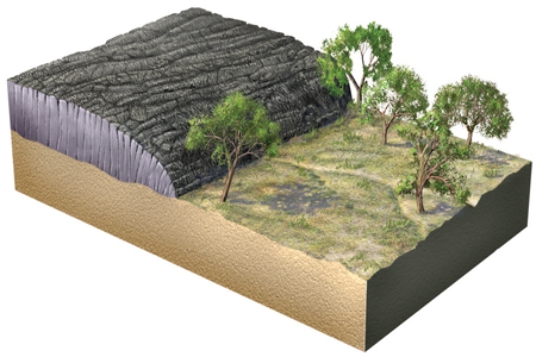 The geologic relationships in this figure indicate that  