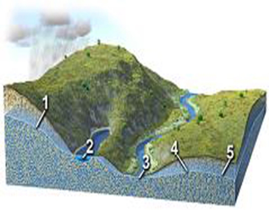 <strong>Each number on this figure refers to a location with groundwater in a subsurface material that is consistent in character across the entire figure.Of these locations, which two sites are on the opposite side of a groundwater divide? </strong> A) between 1 and 2 B) between 2 and 3 C) between 3 and 4 D) between 4 and 5 E) None of these