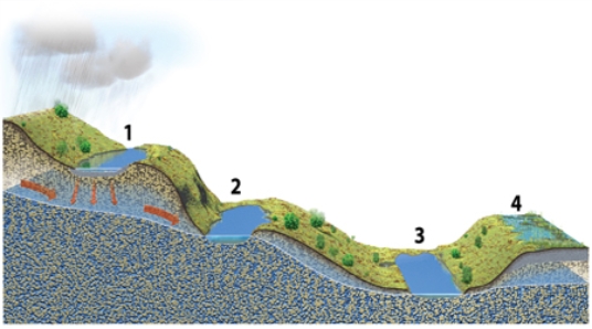 <strong>Which of these four lakes could only exist if they if they received water from precipitation or runoff from the land? </strong> A) 1 and 2 B) 2 and 3 C) 3 and 4 D) 1 and 4 E) 2 and 4