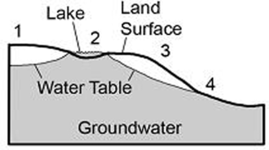 <strong>Where on this cross section would water at the surface become groundwater? </strong> A) 1, 2, and 3 B) 1 and 3 C) 2 and 4 D) 2 only E) 4 only