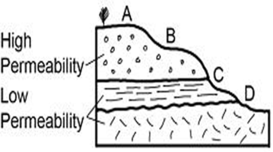 <strong>Which of the sites on this cross section would be the most likely place for a spring? </strong> A) A B) B C) C D) D