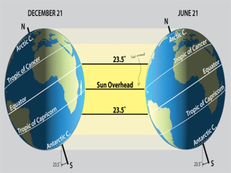 <strong>Observe where the sun is overhead for most of the year in the Tropics.Temperatures are most constant along  </strong> A)Arctic Circle. B)Tropic of Cancer. C)Equator. D)Tropic of Capricorn. E)Antarctic Circle. <div style=padding-top: 35px> 
