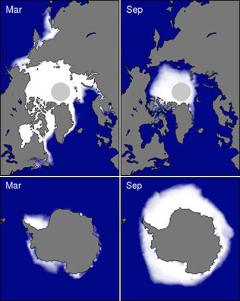 <strong>Which factor best explains for the difference in March sea ice between March in the northern hemisphere and March in the southern hemisphere?  </strong> A)low sun angle throughout the year B)high albedo for all surfaces C)seasonal variation in daylength D)continentality for all surfaces <div style=padding-top: 35px> 