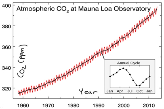 <strong>Calculate the percent increase in CO<sub>2</sub> between 1960 (at 320 ppm)and 2010 (at 400 ppm).The best answer is  </strong> A)20%. B)25%. C)80%. D)400%. <div style=padding-top: 35px> 