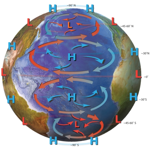 In the Northern Hemisphere warm currents tend to flow from the ____________.In the Southern Hemisphere cold currents tend to flow from the ________________.