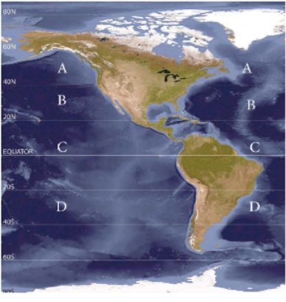 <strong>Where on the map is the center of high pressure influencing ocean currents with clockwise circulation?  </strong> A) A B) B C) C D) D <div style=padding-top: 35px> 