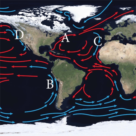 Which of the following shows the location of the Humbolt Current?