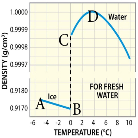 <strong>At what point on the graph does the density of water begin to decrease? ______ The temperature at this point is _______°C.  </strong> A) A; -4°C B) B; 0°C C) C; 0°C (but higher density) D) D; 4°C <div style=padding-top: 35px> 