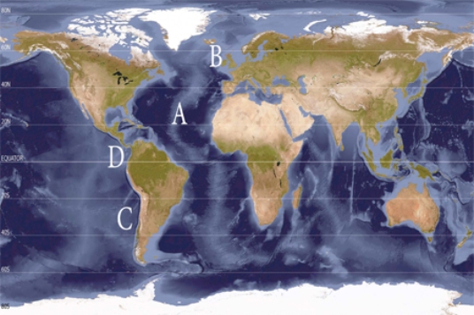 Where on the following world map are the highest salinities?